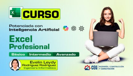 Microsoft Excel de Nivel Básico a Avanzado