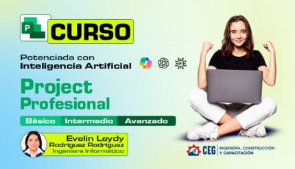 Microsoft Project de Nivel Básico a Avanzado